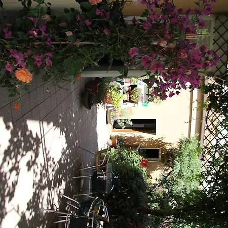 Tirrenia Hotel Lido di Ostia