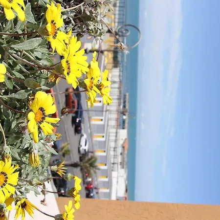 Tirrenia 3* Lido di Ostia