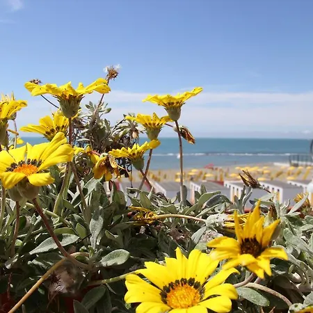 Hotel Tirrenia